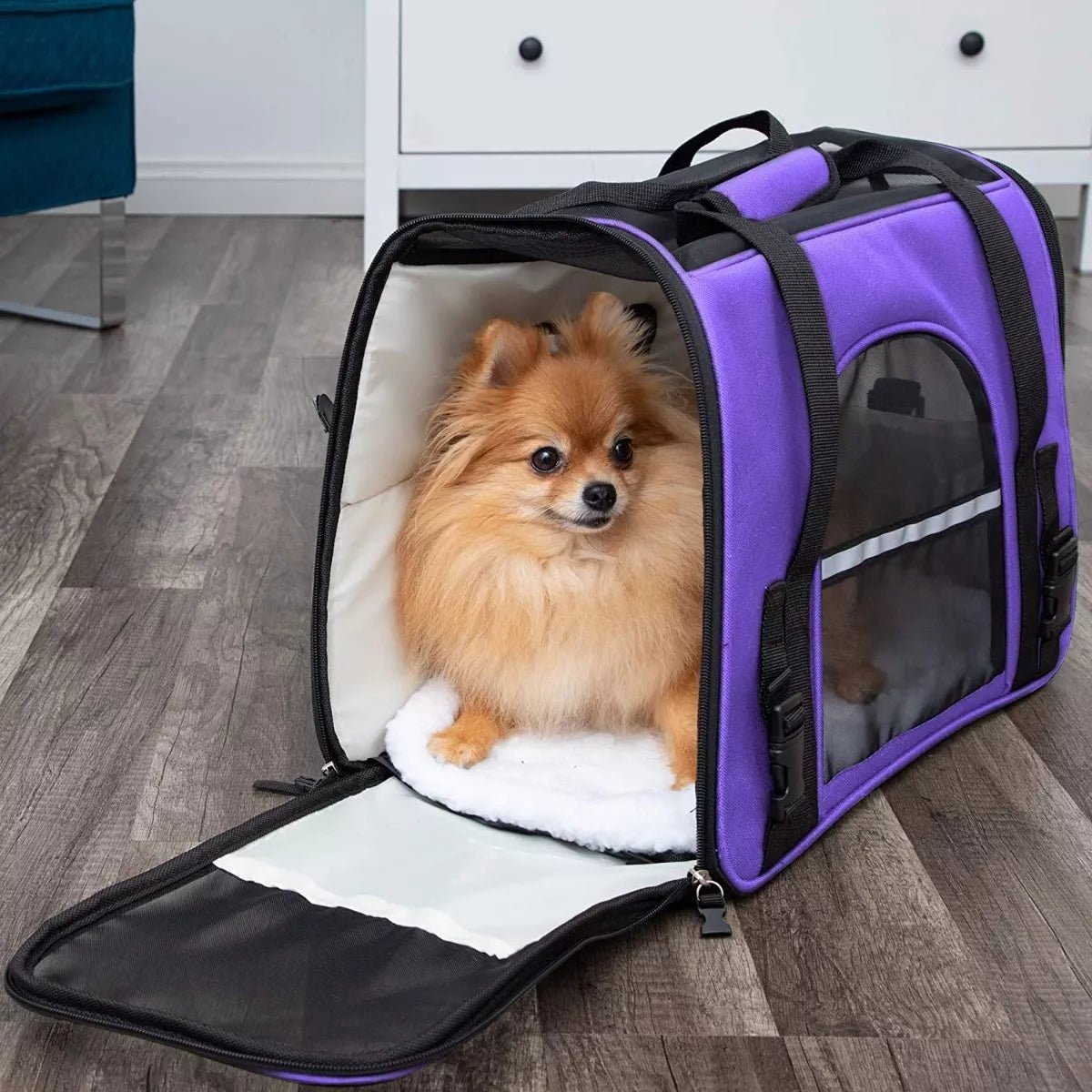 Sac de Transport pour Chien - DogCarrierBag™ - Violet - Dog en Vadrouille
